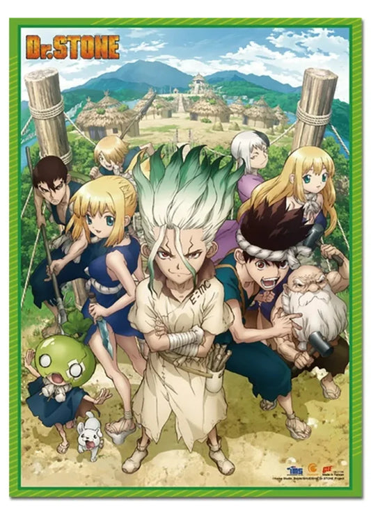 Dr. Stone- Key Art Wall Scroll